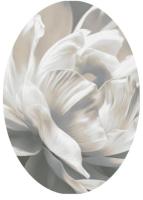 8388 g5о